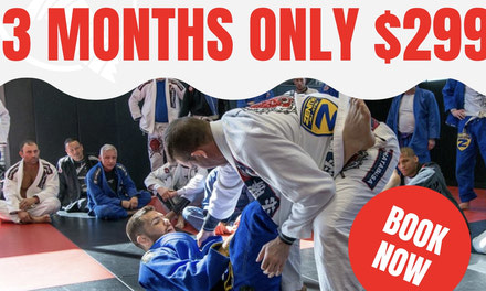 {3 Month Summer PROMOTION - Adults & Kids -  $299 for 3 months}